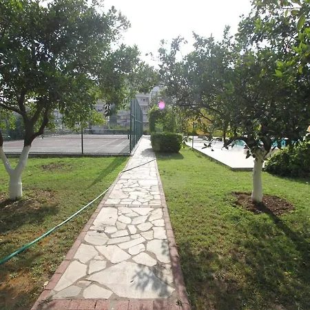 Lemon Garden B *
